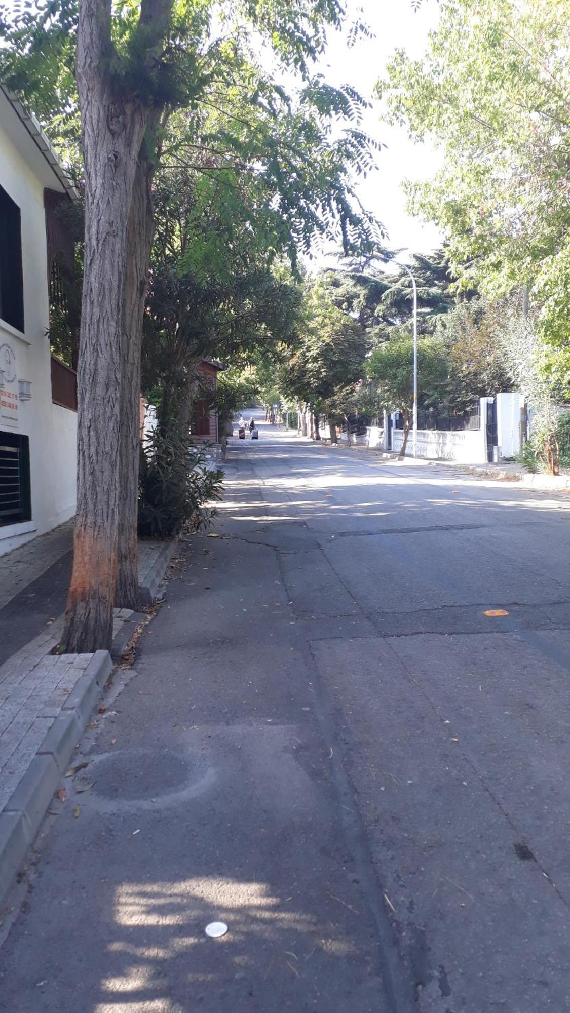 Orhan Kutbayin Evi Adalar Quarto foto